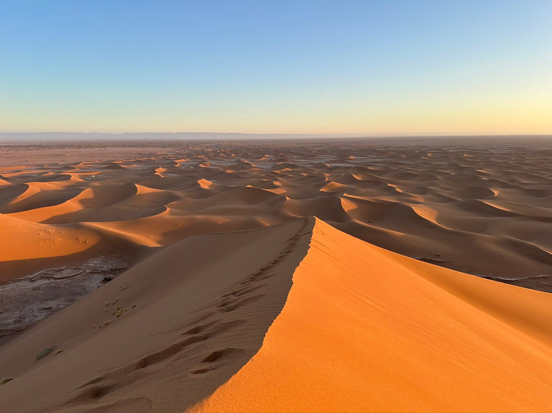 Adventures Desert-迈哈米德必去景点