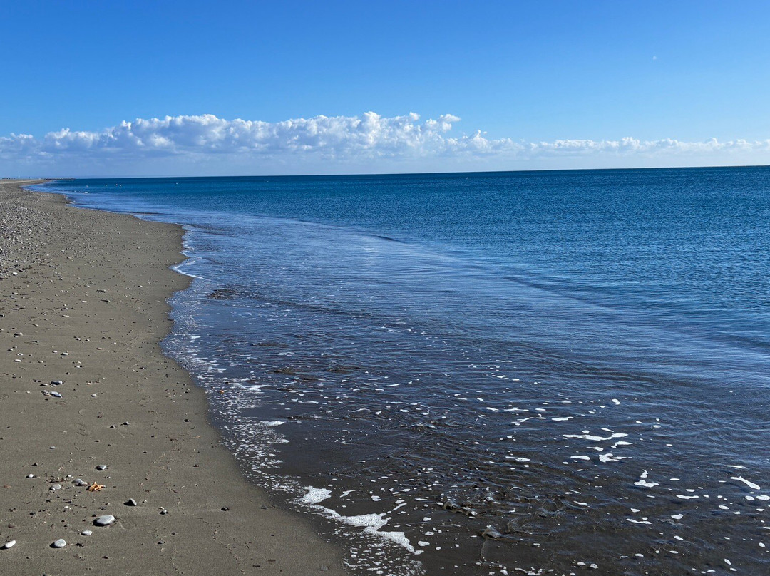 Spiaggia di Policoro-波利科罗必去景点