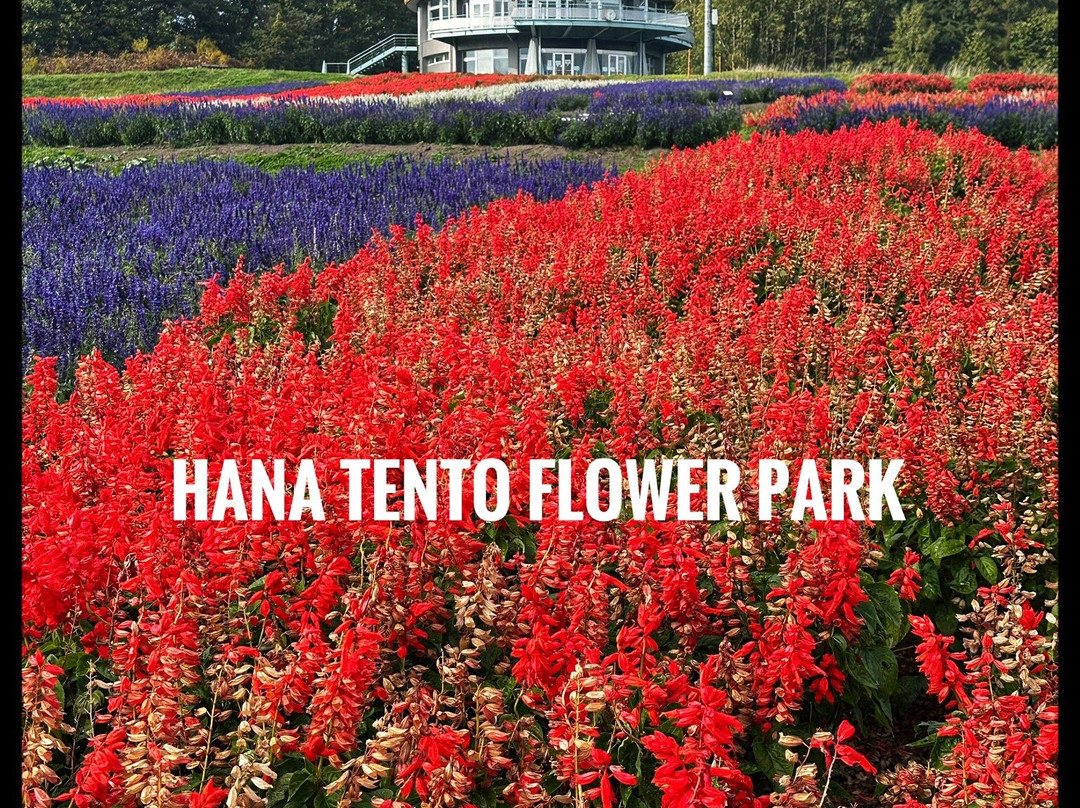Flower Garden Hana Tento-网走市必去景点