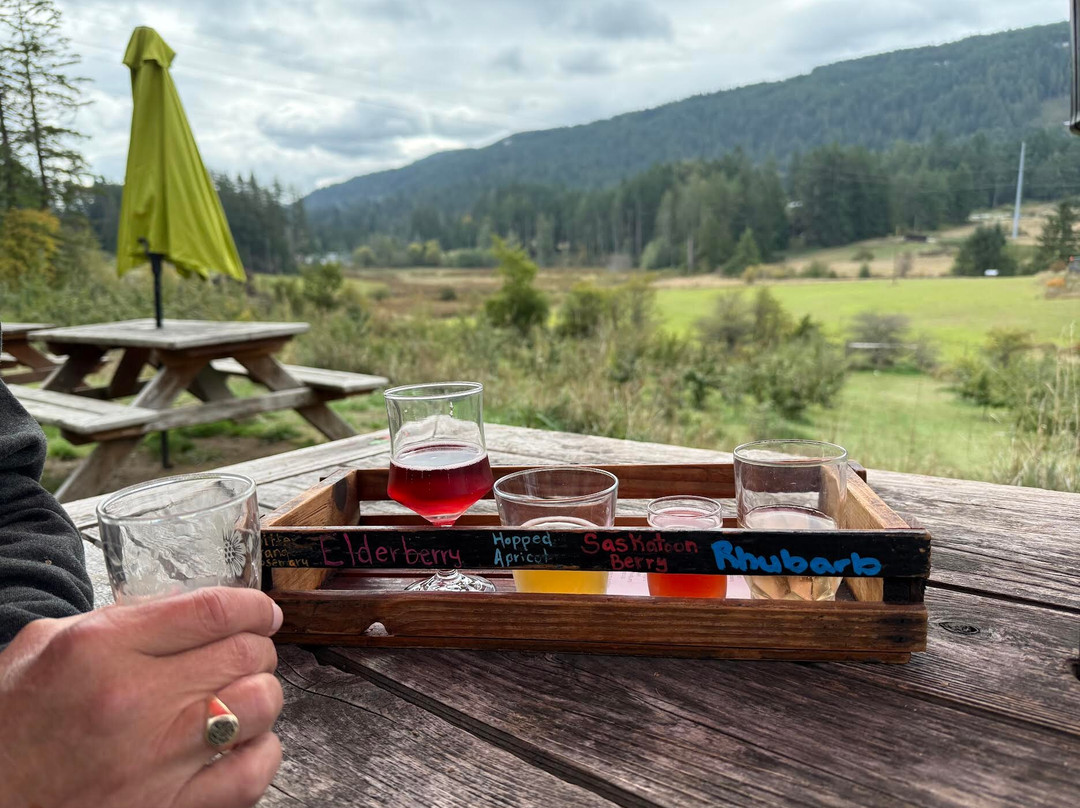 Salt Spring Wild Cider-盐泉岛必去景点