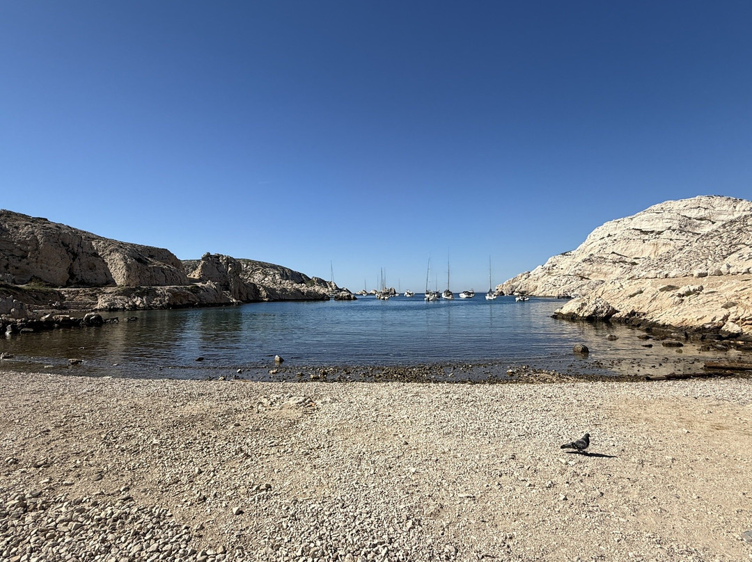 Île de frioul-马赛必去景点