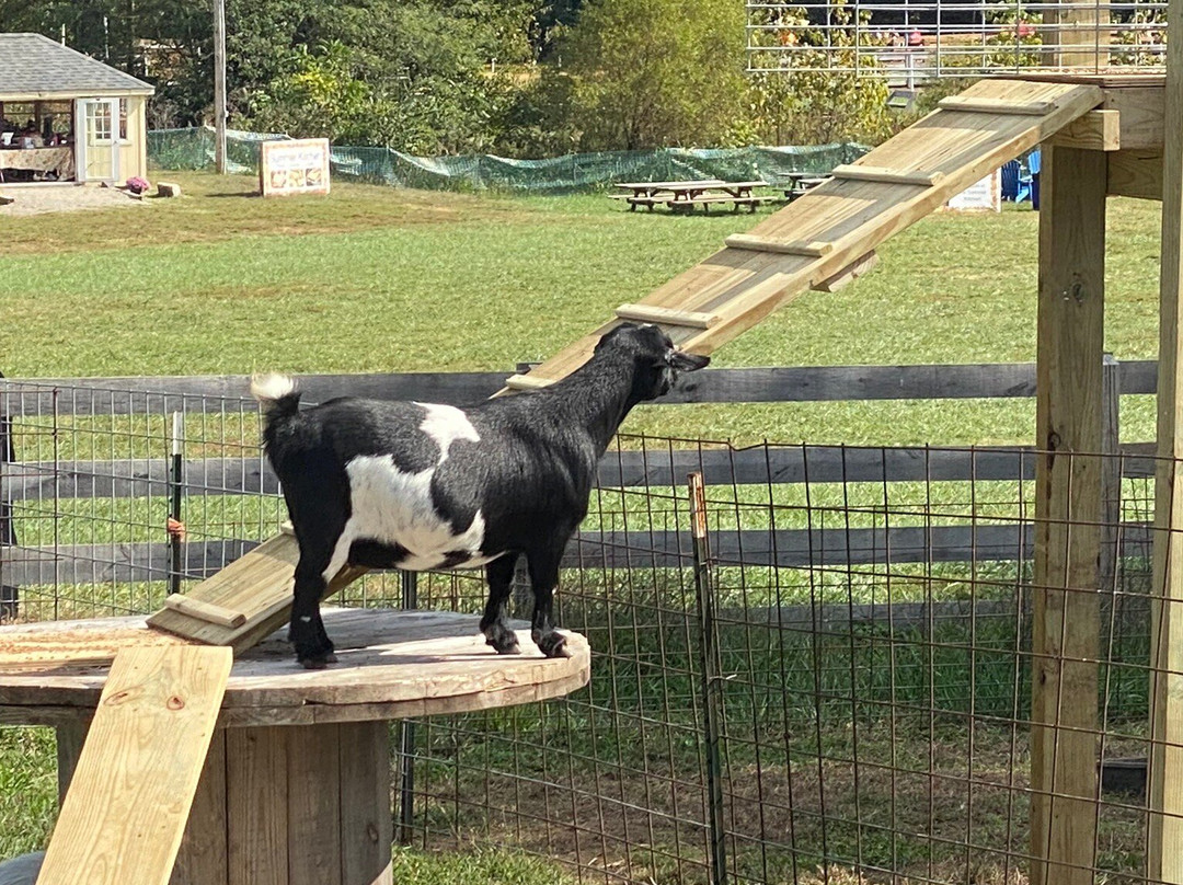 Niederman Family Farm-Liberty Township必去景点