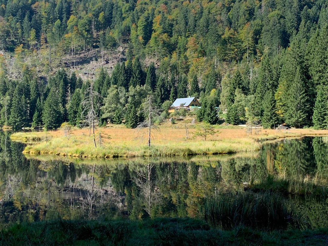 Hotel Das Bayerwald主图