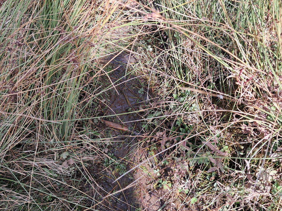 Nacimiento del Rio Tajo-Frias de Albarracin必去景点