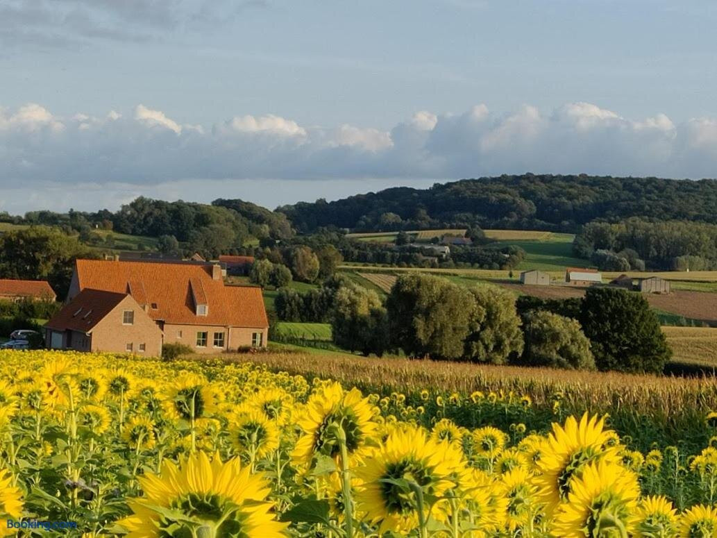 B&B De Zavelaar