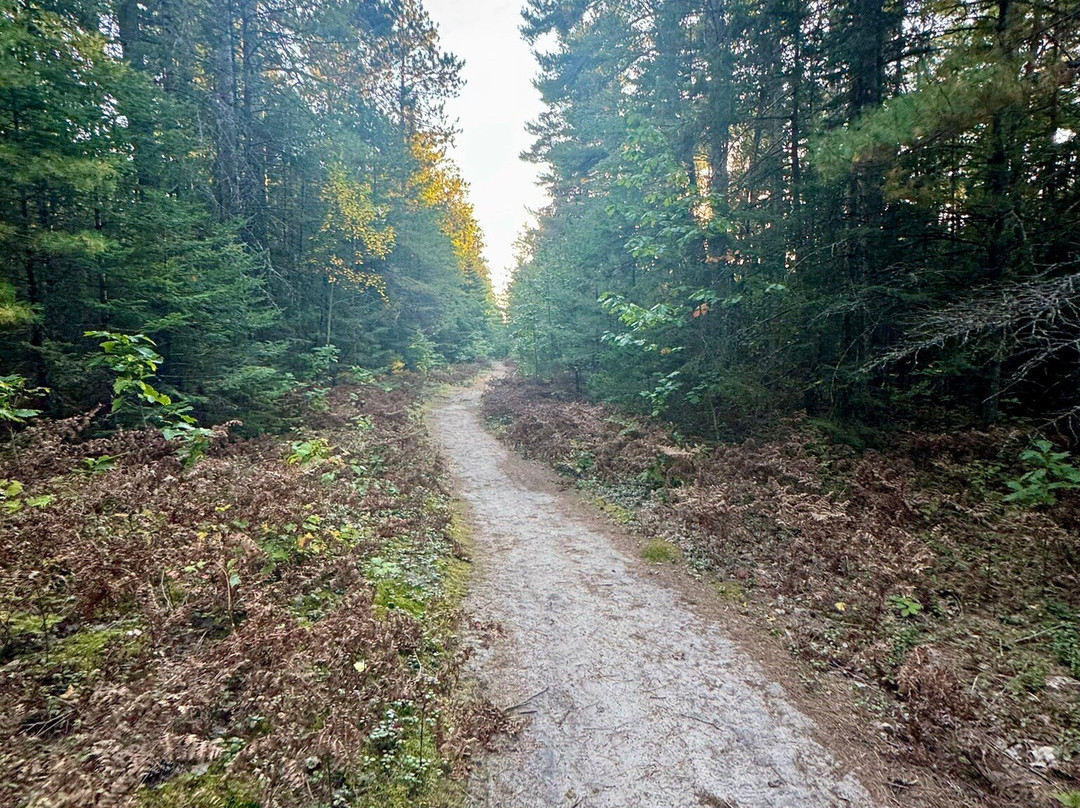 Wilderness State Park-Carp Lake必去景点