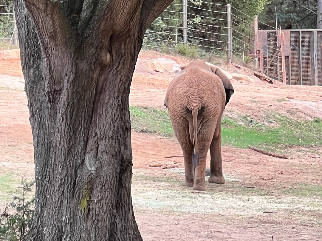 North Carolina Zoo-Asheboro必去景点