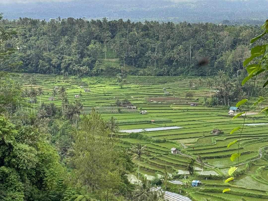 Exo Bali Tour & Travel-登巴萨必去景点