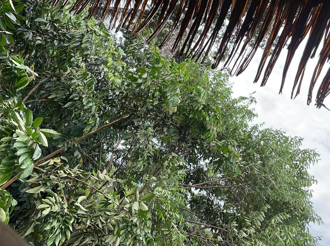 Equator Expeditions-Nayon必去景点