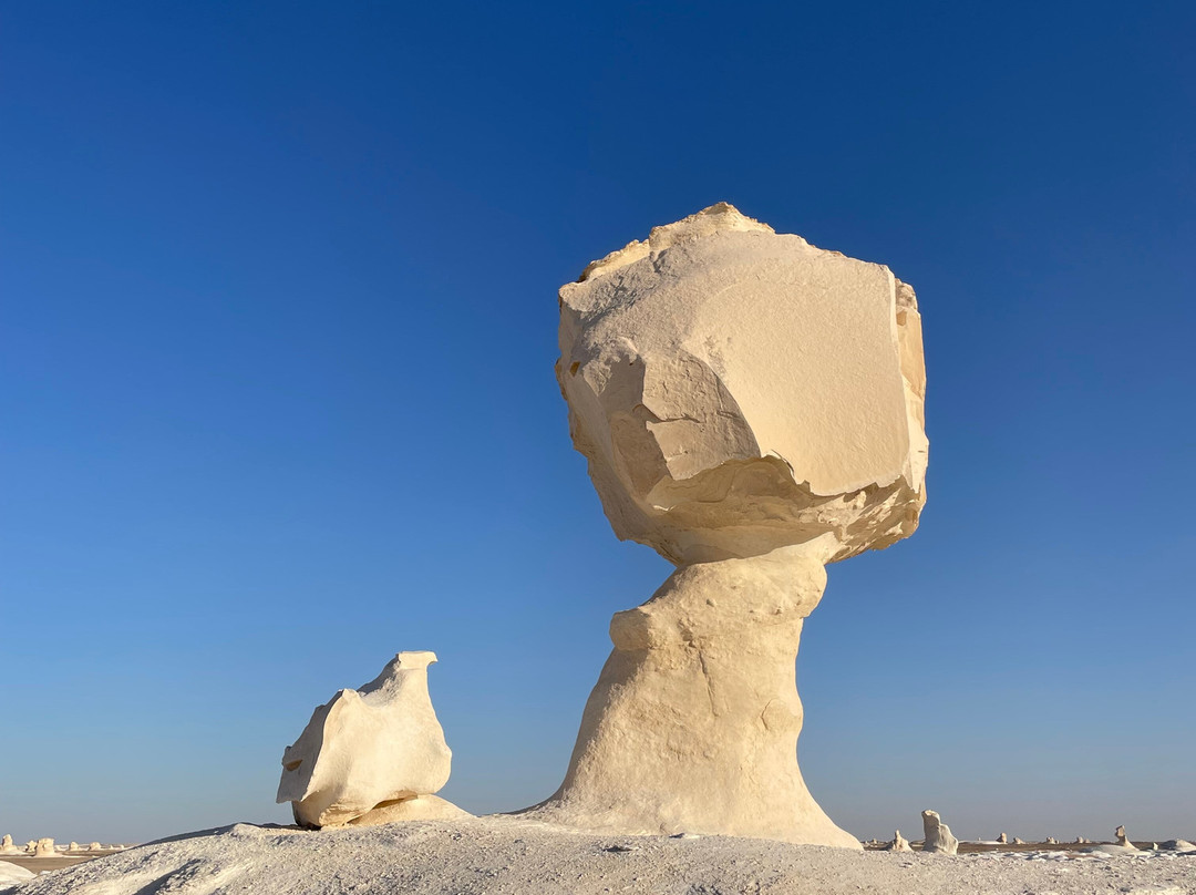 white desert travel-Bahariya Oasis必去景点