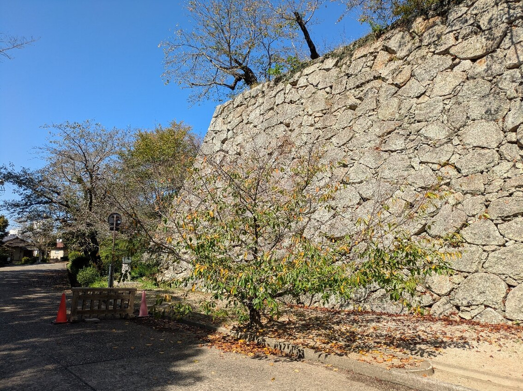 Tsuyama Castle (Kakuzan Park)-津山市必去景点