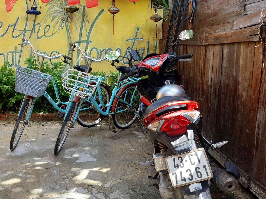 会安椰子树下民宿主图