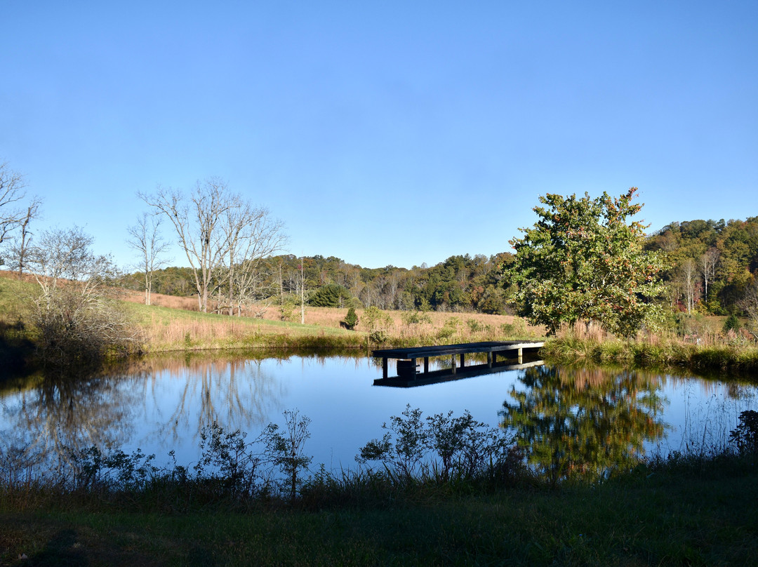 HapBE Valley Equine & Wellness Farm-Leicester必去景点