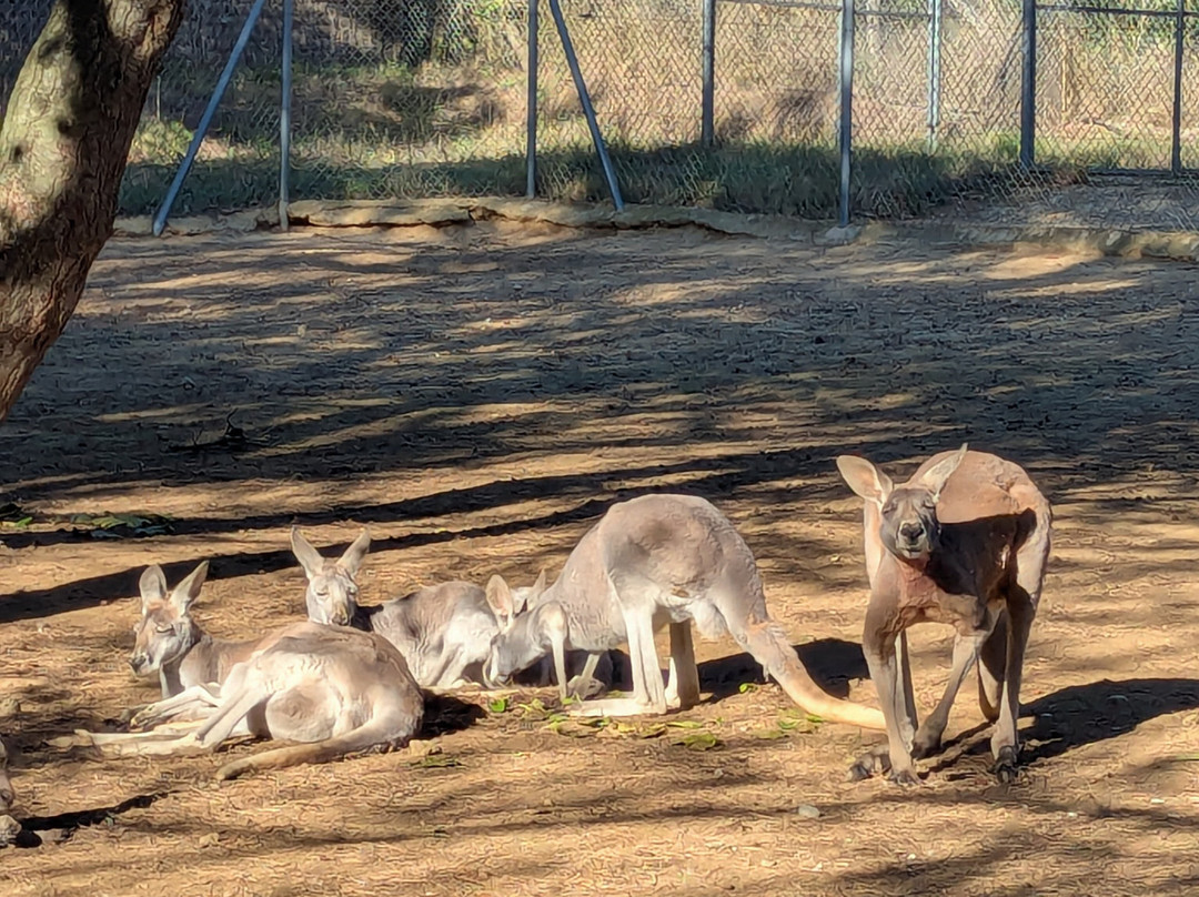 Le Parc Australien-卡尔卡松必去景点