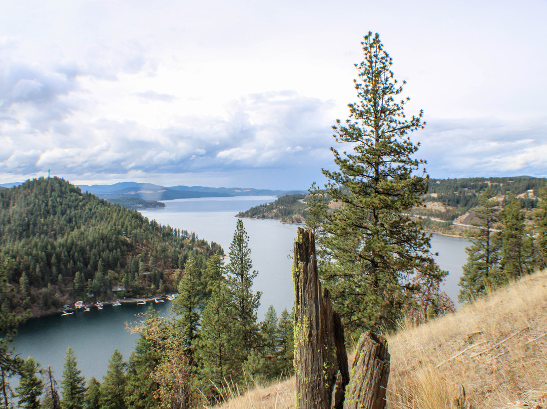 Mineral Ridge National Recreation Trail-科达伦必去景点
