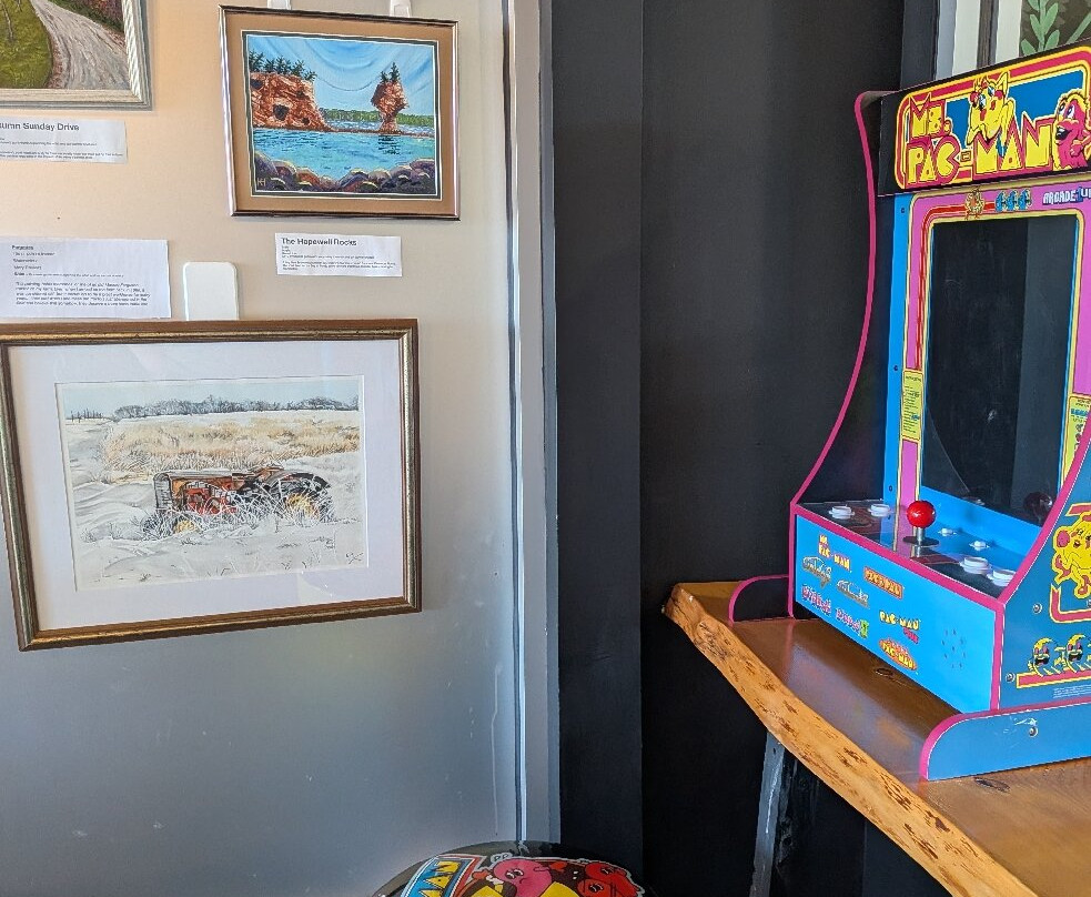 The Purrfect Cup - A Cat Cafe-弗雷德里克顿必去景点