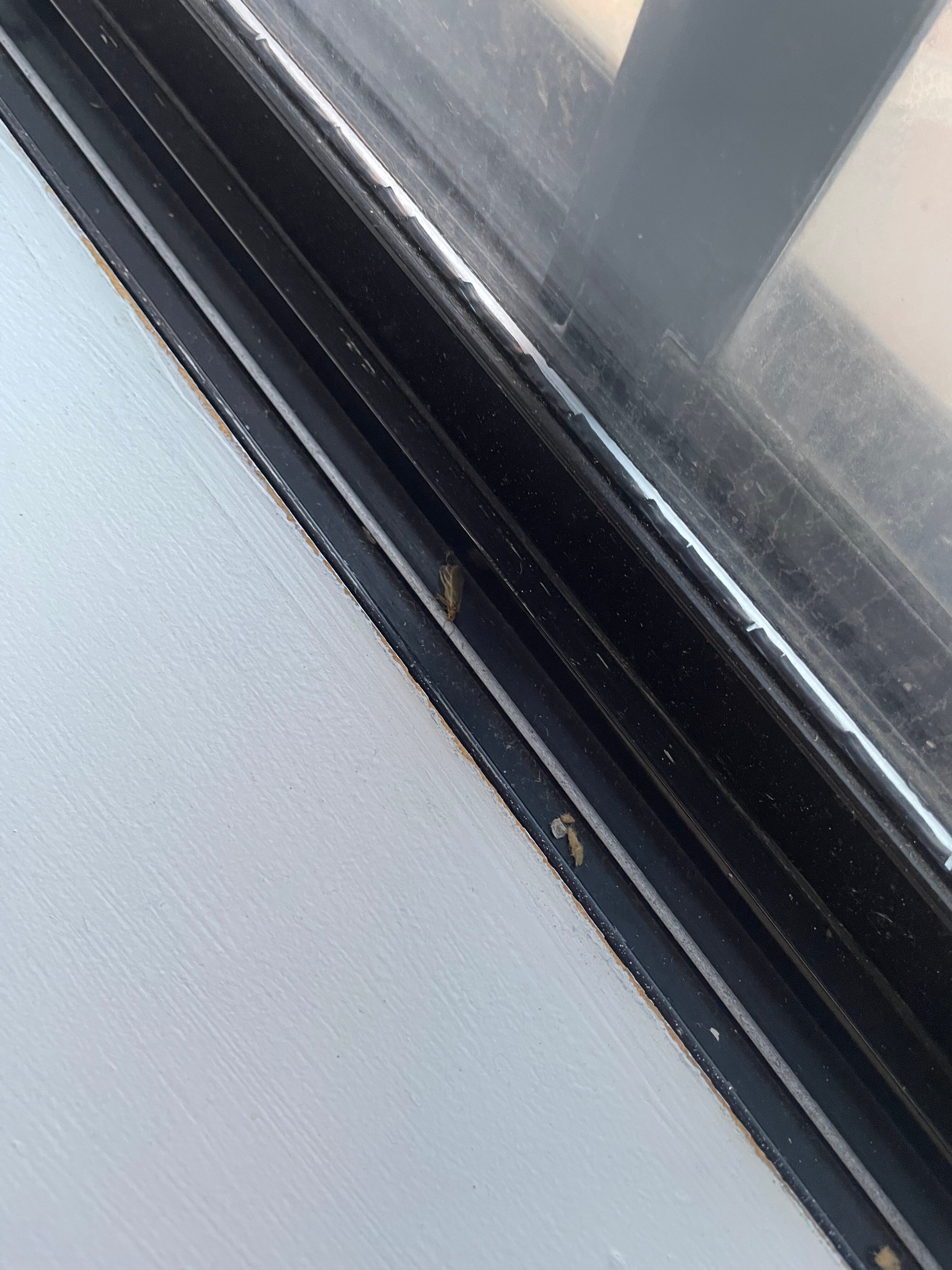 奥尔巴尼希尔顿酒店-客卧