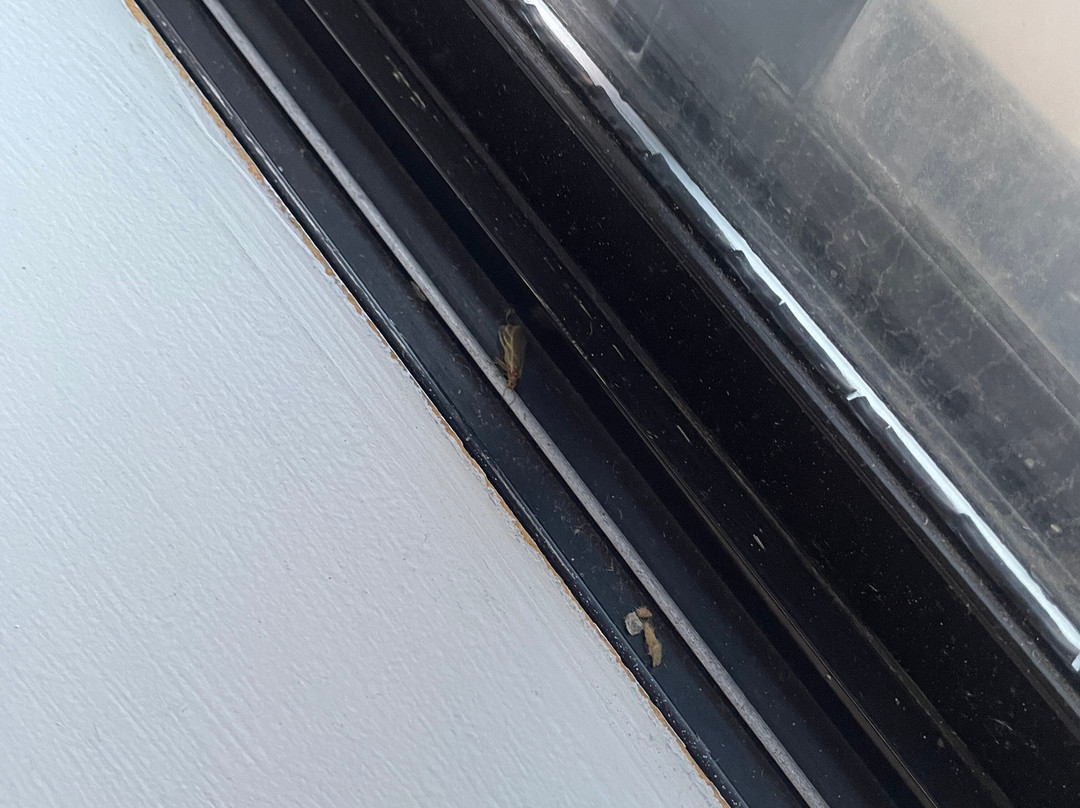 奥尔巴尼希尔顿酒店主图