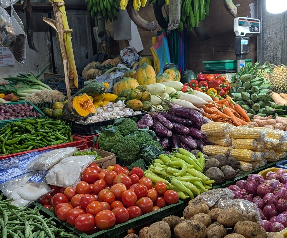 Risi Travels-加勒必去景点