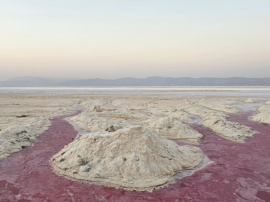 SeeTrueIran-Shiraz必去景点