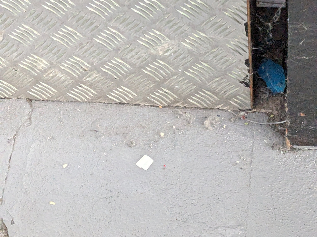 Flip Out Peterborough-彼得伯勒必去景点