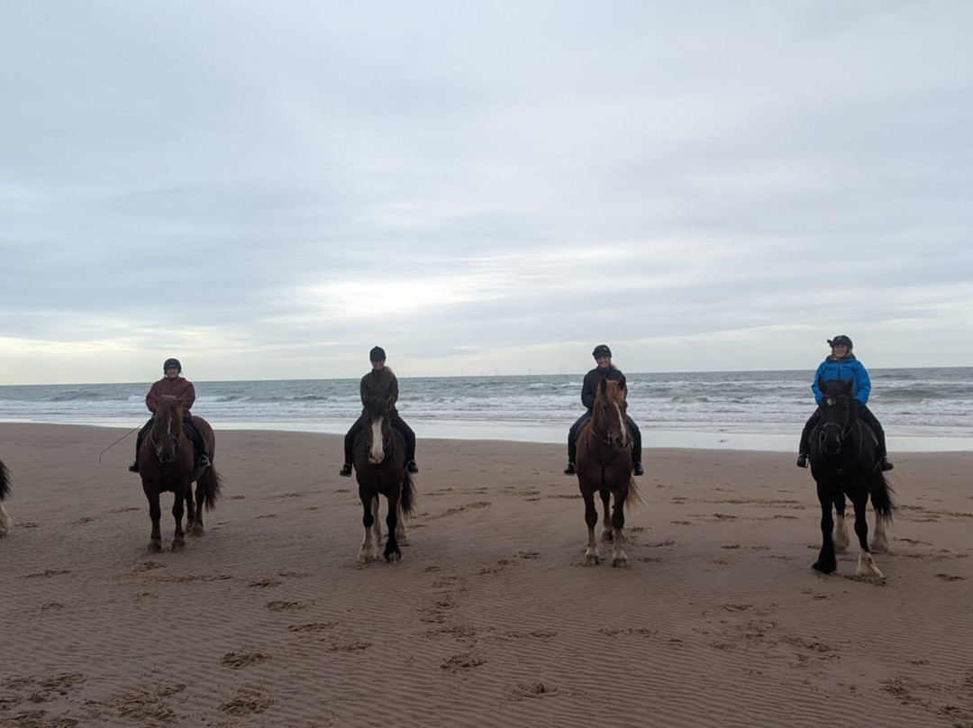 Cumbrian Heavy Horses-Millom必去景点