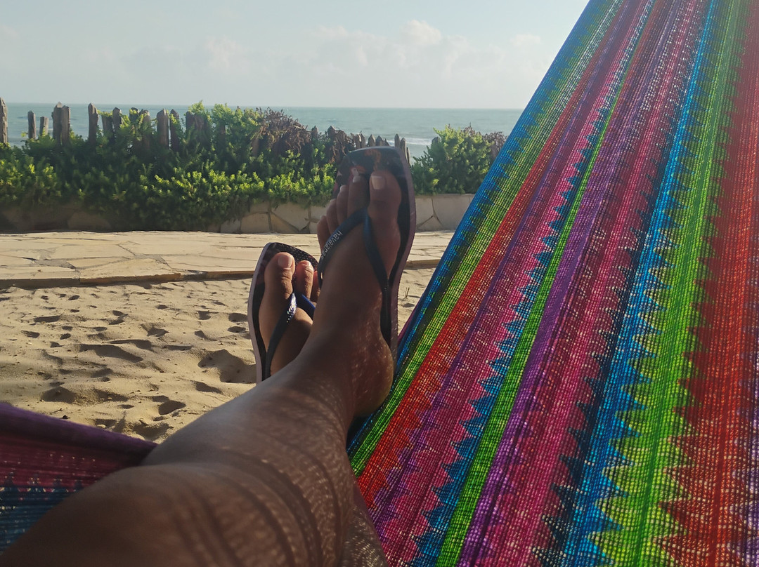 Fazendinha Adventure Park-Cumbuco必去景点