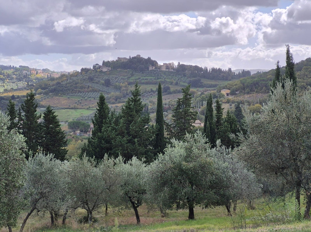 Panzanello Winery in Chianti-Panzano in Chianti必去景点