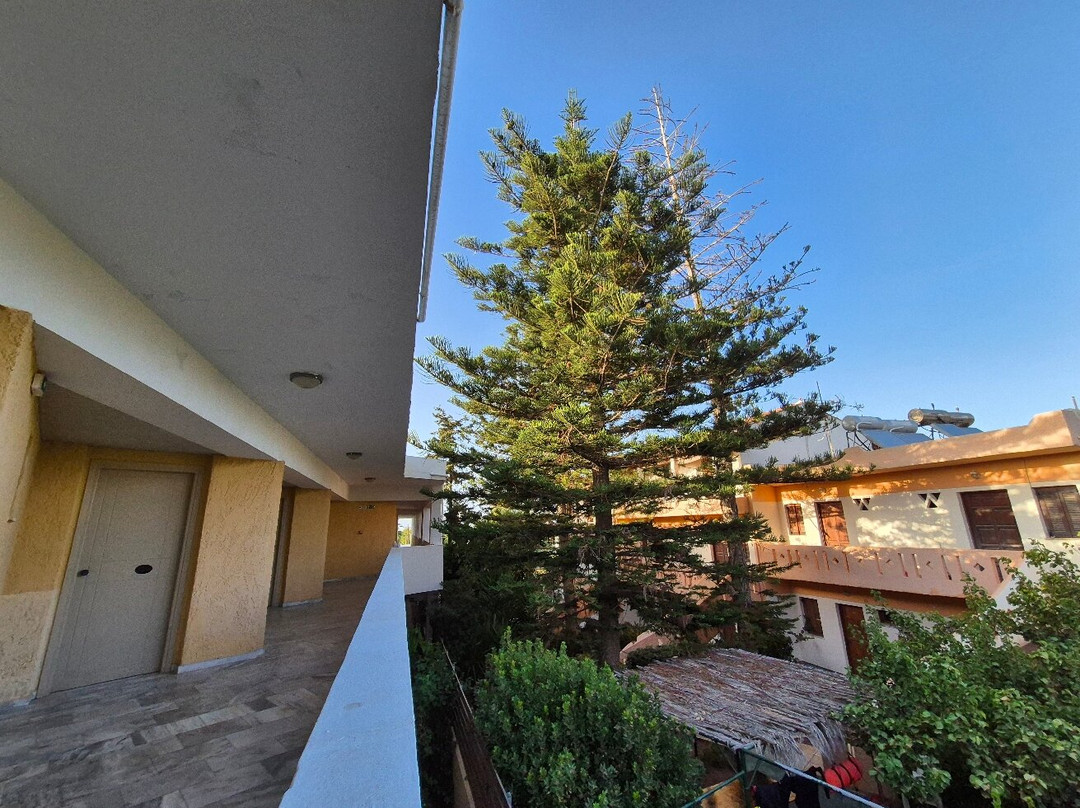 Hotel Palladion主图