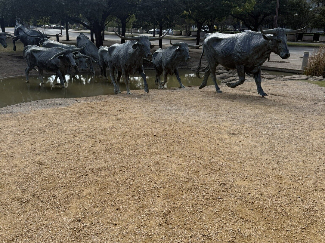 Dallas Cattle Drive Sculptures-达拉斯必去景点
