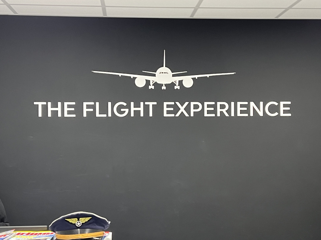 The Flight Experience-纽卡斯尔必去景点