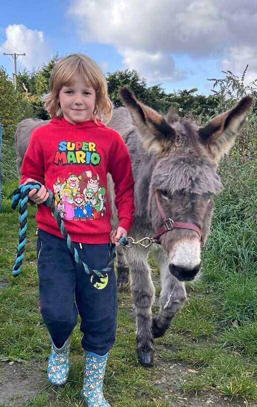 Donkey Walking Adventures-Beaminster必去景点