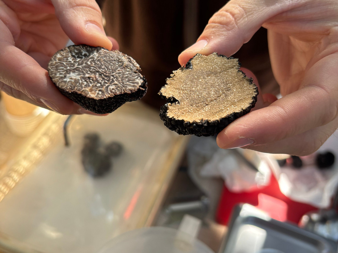 Truffle Hunting-卡兰巴卡必去景点