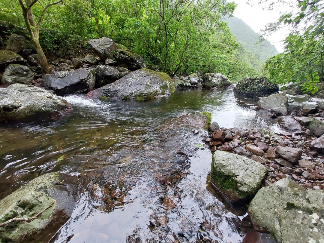 Aparados da Serra Tours-Cambará do Sul必去景点