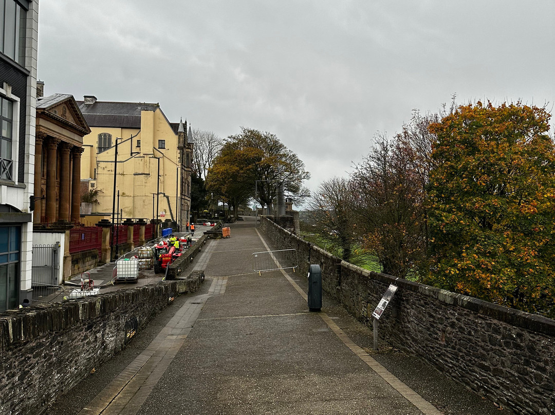 McNamara's Famous Guided Walking Tours-德里必去景点