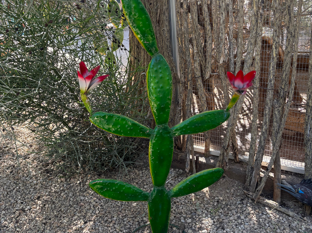 Southwest Wildlife Conservation Center-斯科茨代尔必去景点