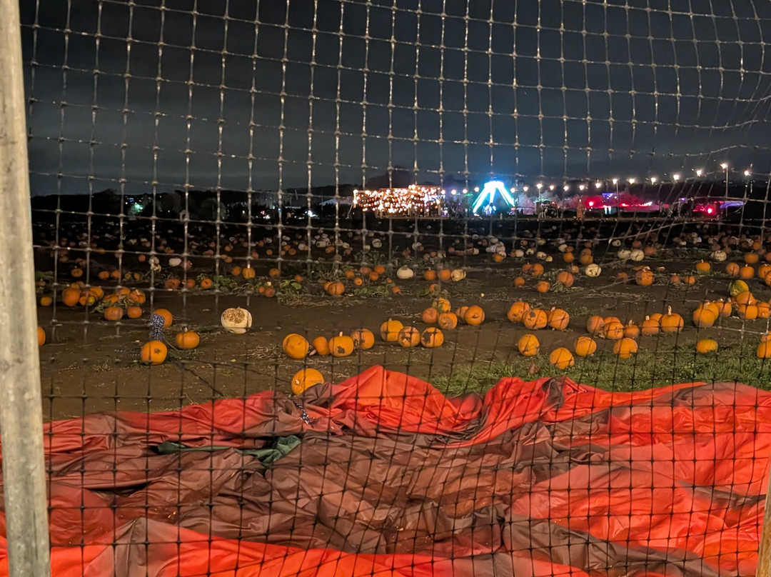 Avon Valley Adventure Park-Keynsham必去景点