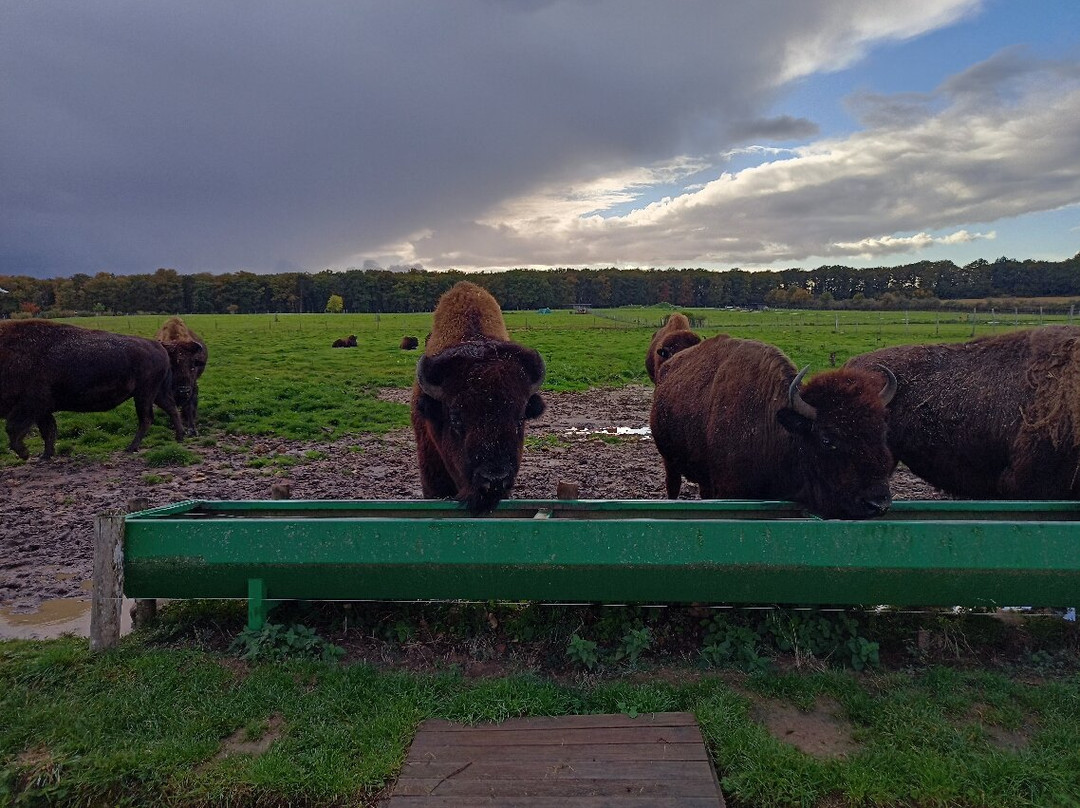 Reserve De Beaumarchais - Safari Train-Autreche必去景点
