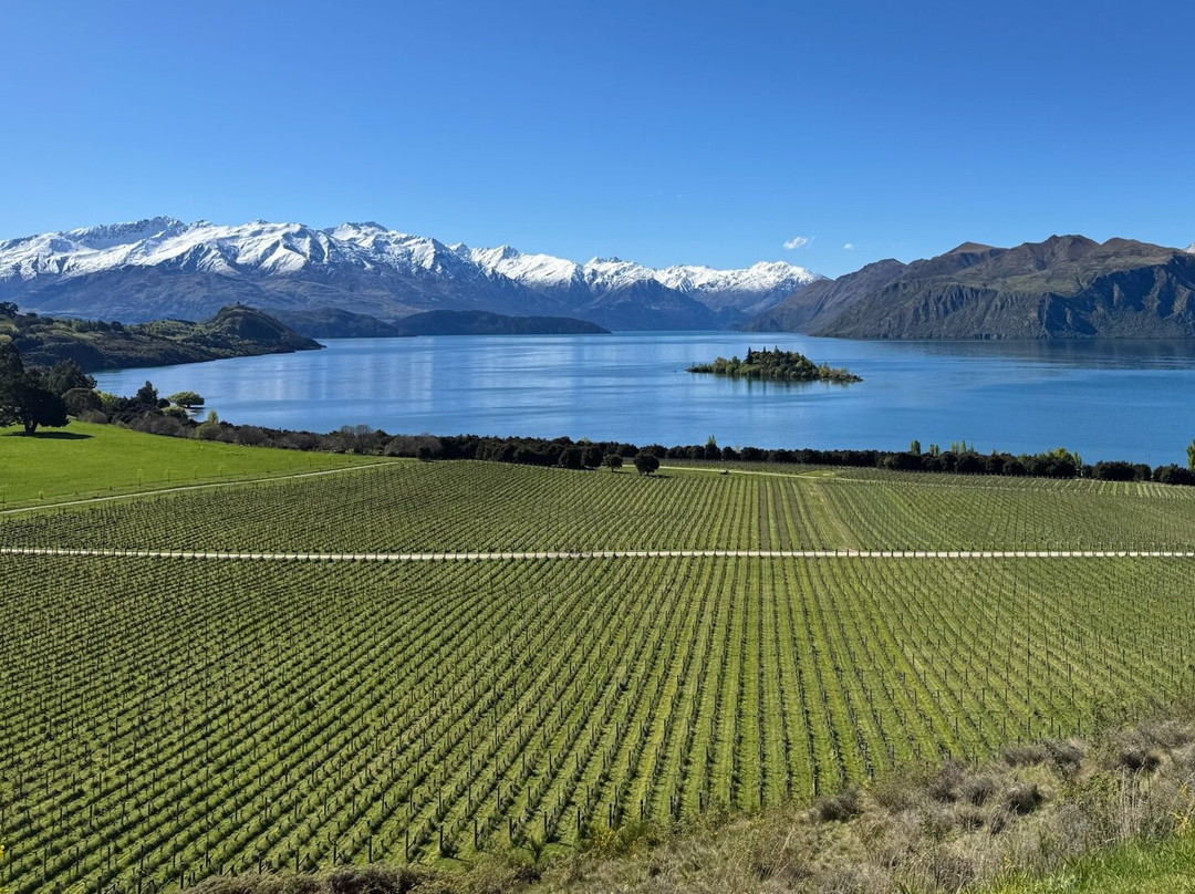 瑞本酒庄-瓦纳卡必去景点