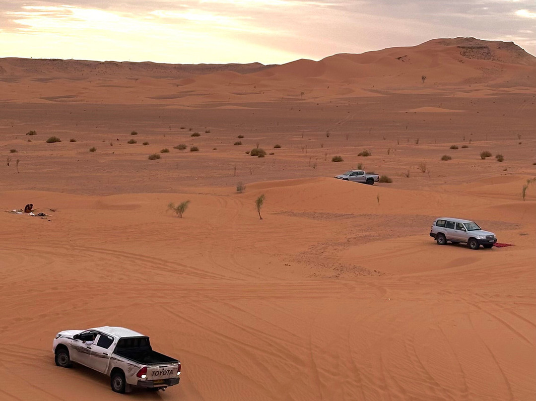 Discover Ghardaia Travel Agency-盖尔达耶必去景点