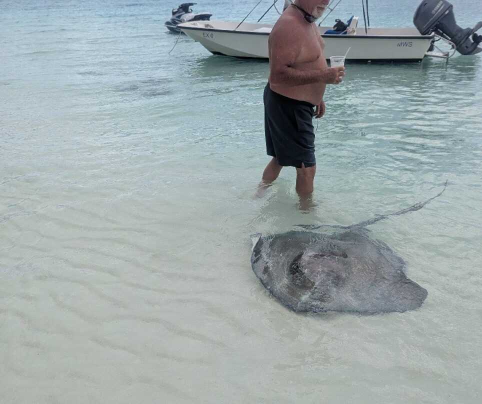 Chat 'N' Chill Bar-George Town必去景点