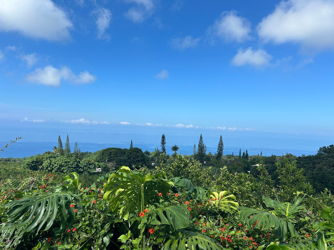 夏威夷仙境农场-哈陆亚洛亚必去景点