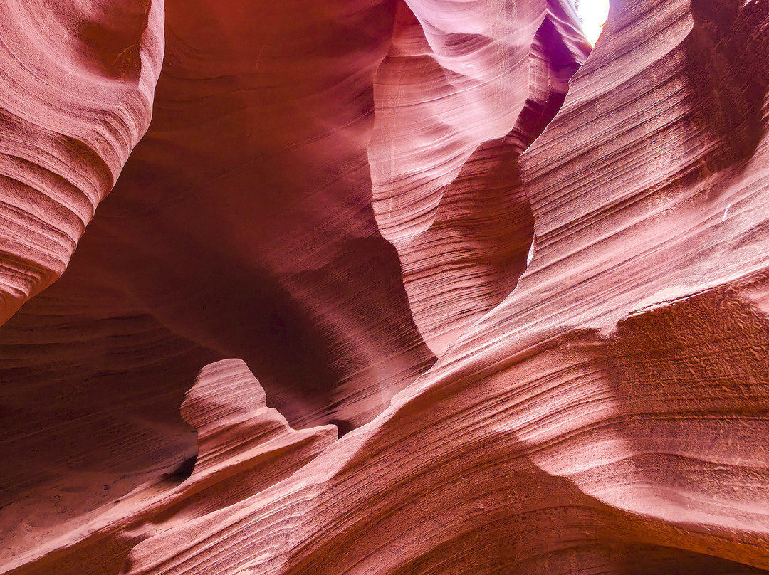 Black Streak Canyon Tours-佩吉必去景点