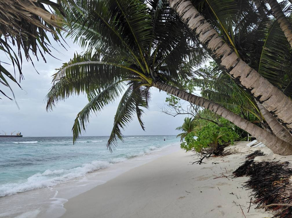 Salt Villa Ukulhas主图