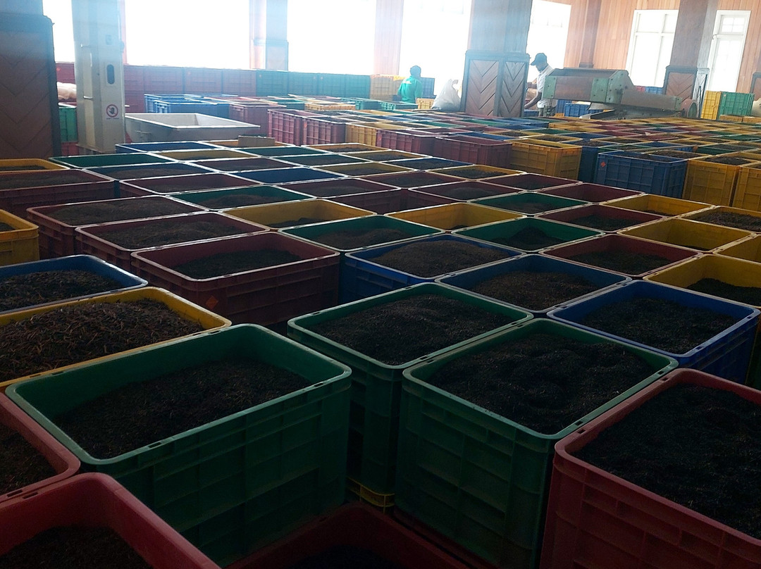 V Travel Sri-Lanka Excursions-科斯戈德必去景点