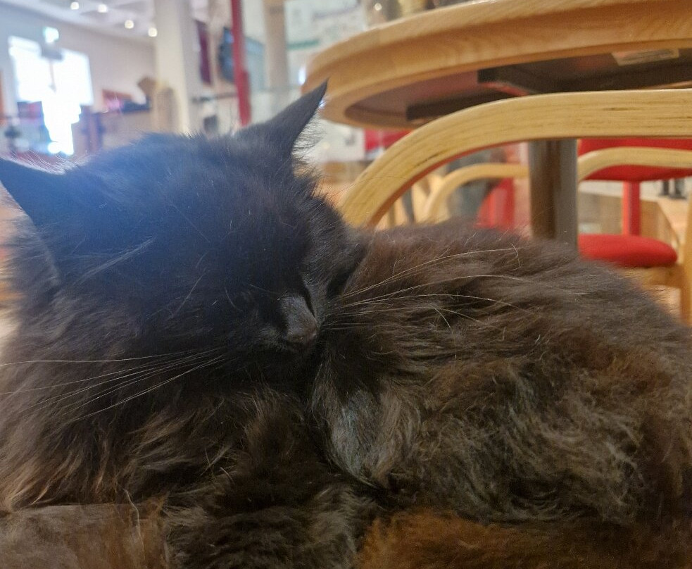 National Roman Legion Museum-Caerleon必去景点