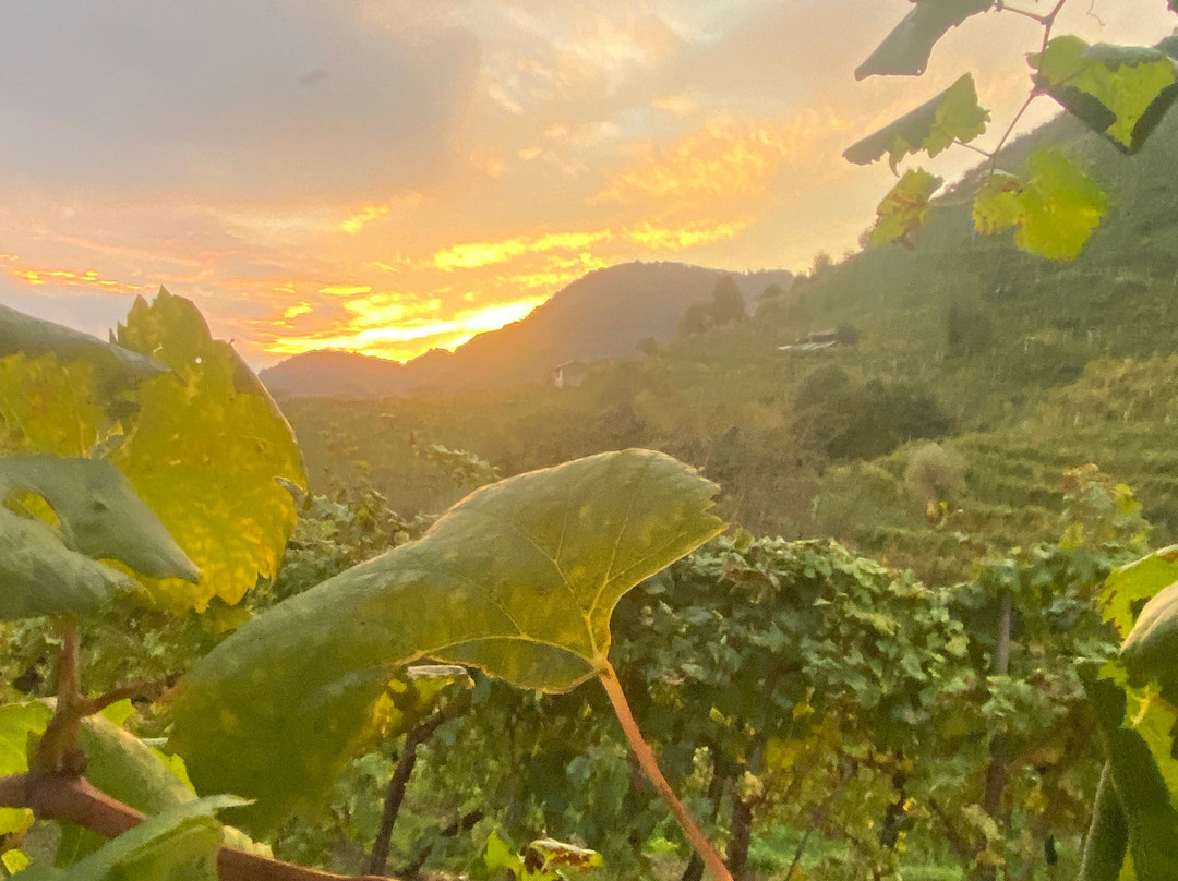 Oriana Noleggio con Conducente-Farra di Soligo必去景点