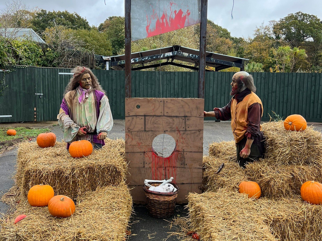 Pleasurewood Hills-洛斯托夫特瓷必去景点