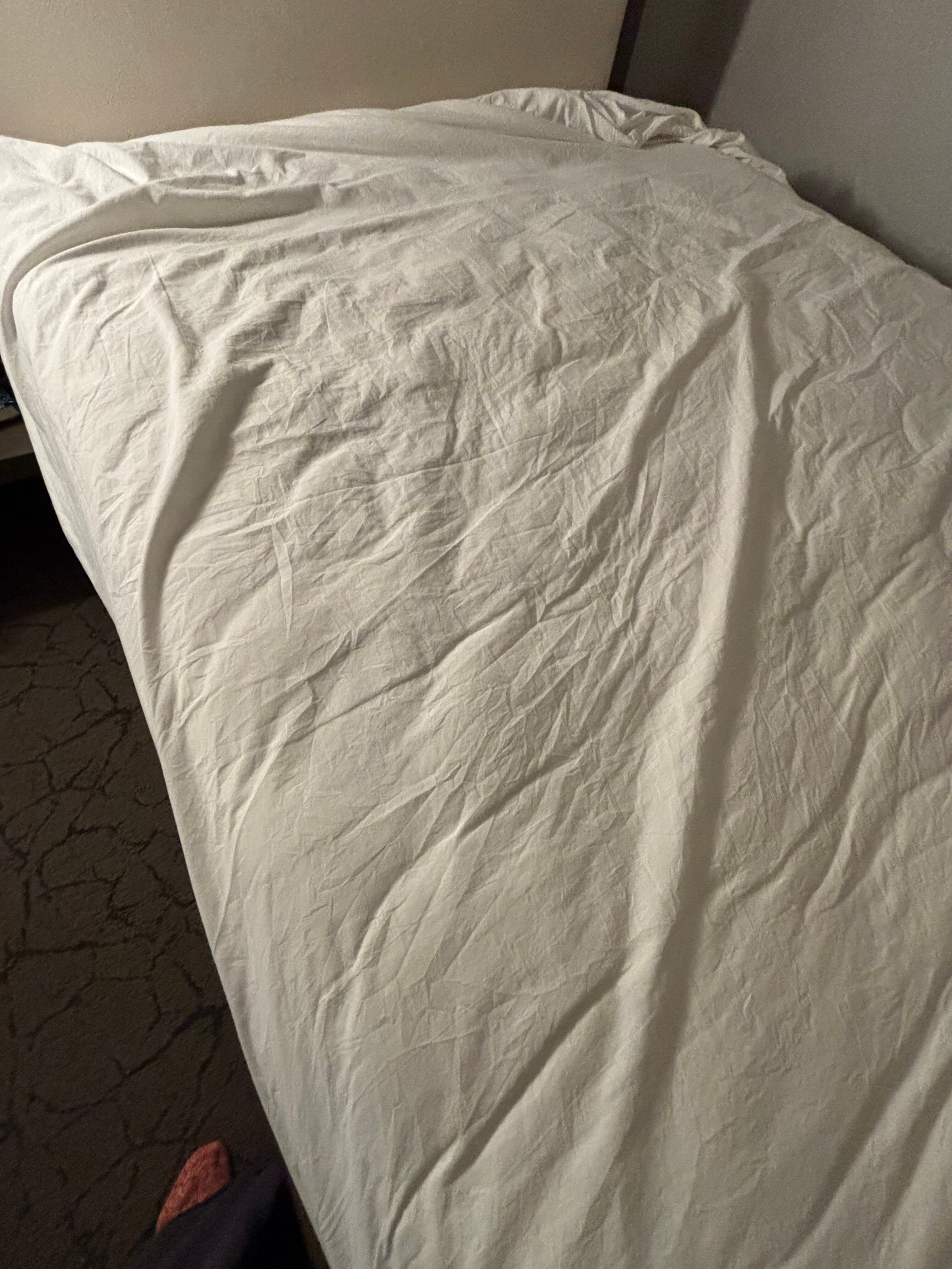 萨凡纳河畔万豪酒店-客卧