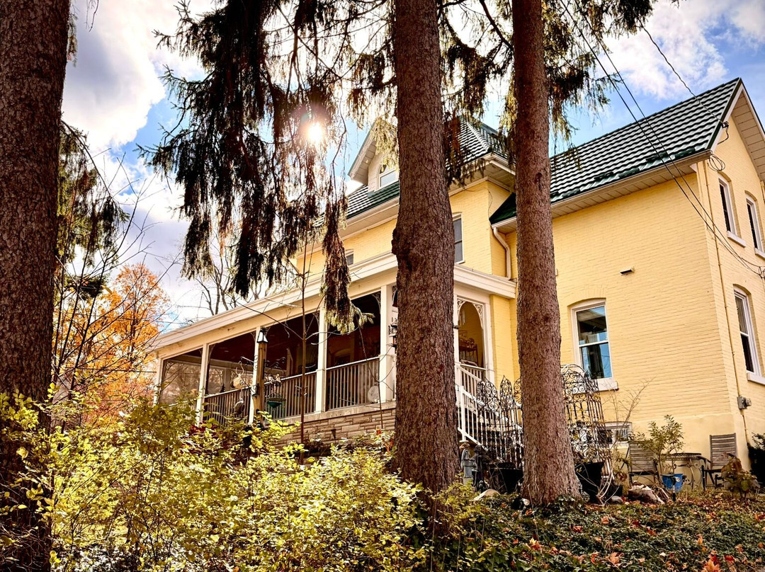 Dragonfly Dreams Inn主图